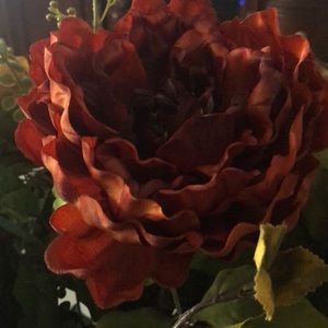 Meet your Posher, Olga